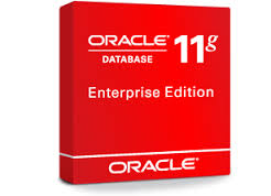 oracle11g